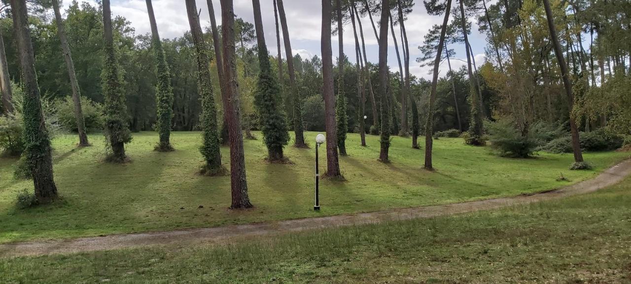 Campsite Camping Du Val De L'eyre *
